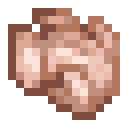 Raw Duck