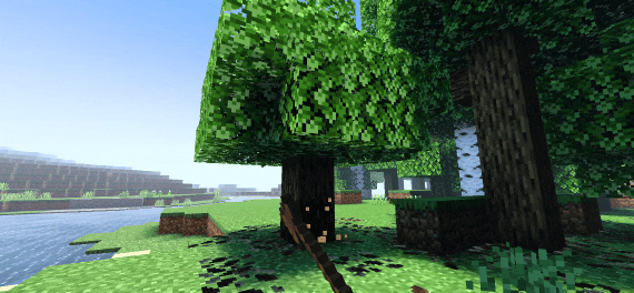 Demonstration of tree felling