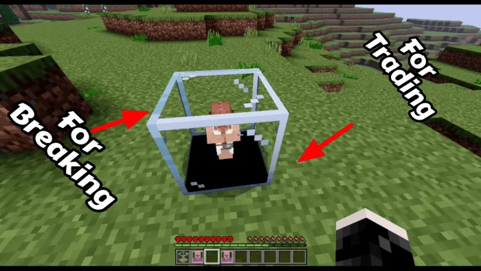 Villager Minion cage interaction