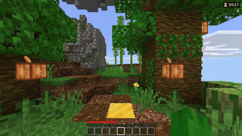 Checkpoint timer display