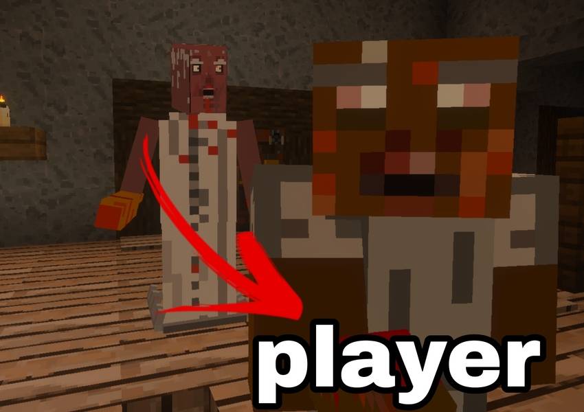 Multiplayer Gameplay