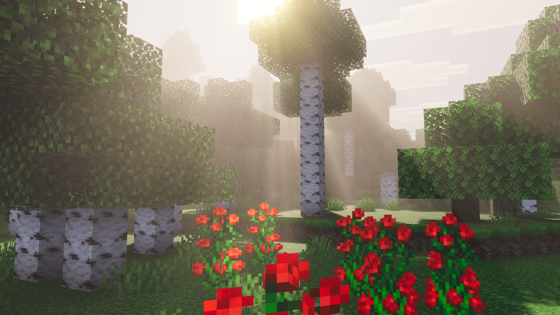 Cinematic Fog — screenshot 1