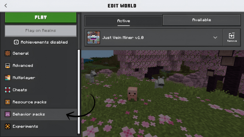 Addon installation illustration