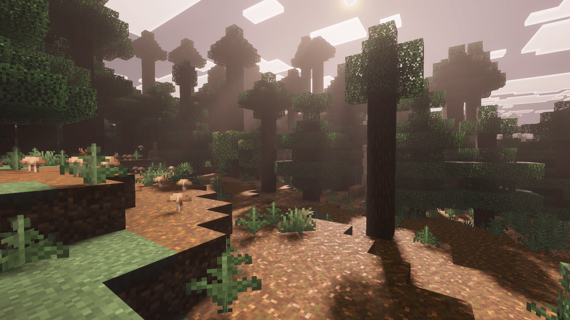 Vibrant Aura — screenshot 1