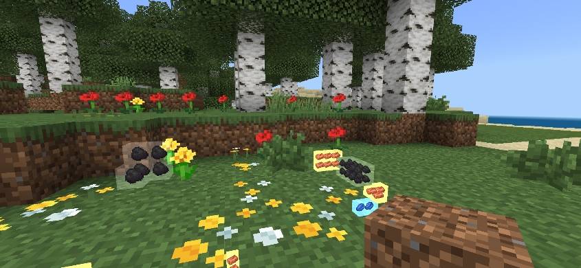 Player holding dirt block while sneaking