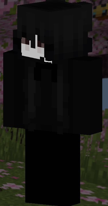Multiple PvP skin options