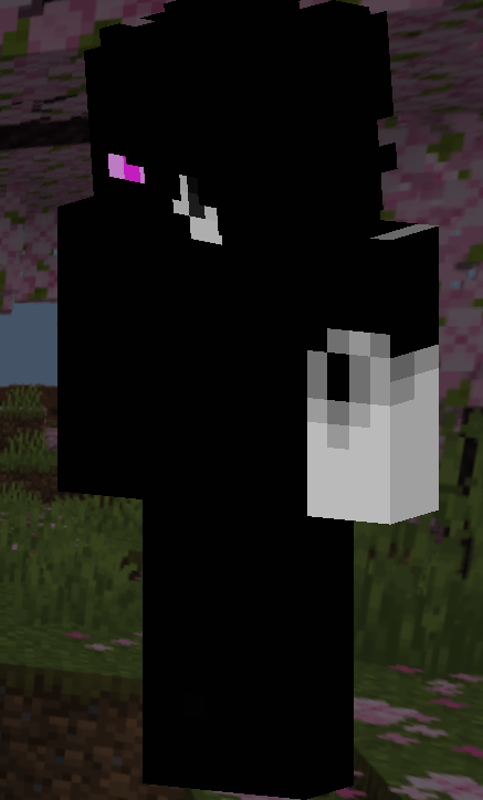 Close-up of a PvP skin with purple accents