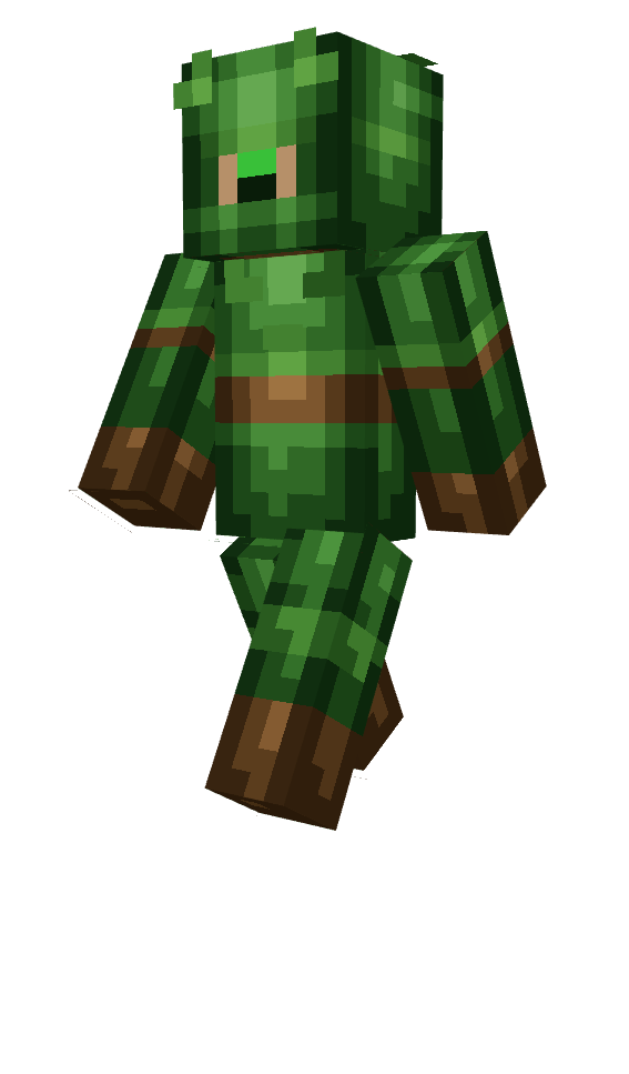 Samurai skin 5