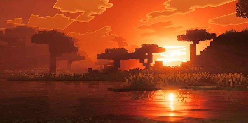 Savannah biome at sunset