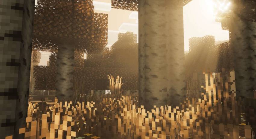 Birch biome visuals