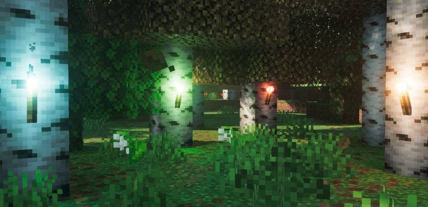 Pack feature showcase