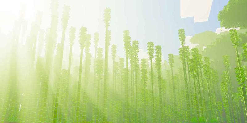 Detailed block visuals