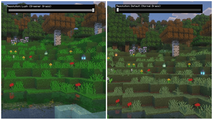 Lush Greener Grass example