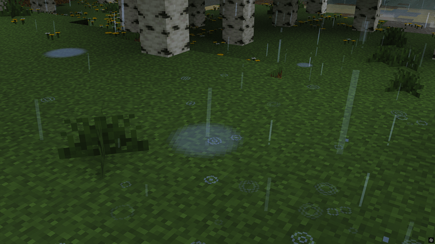 Water ripples from raindrops or thrown items