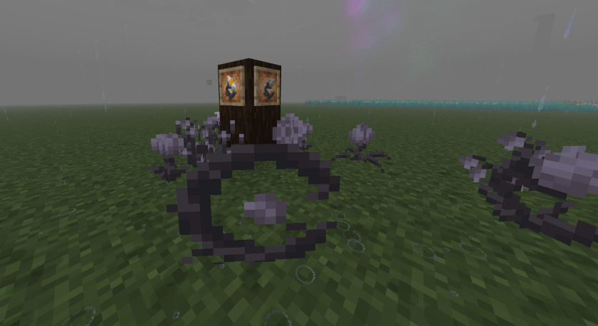 Eyeblossoms / Bulb of Hope