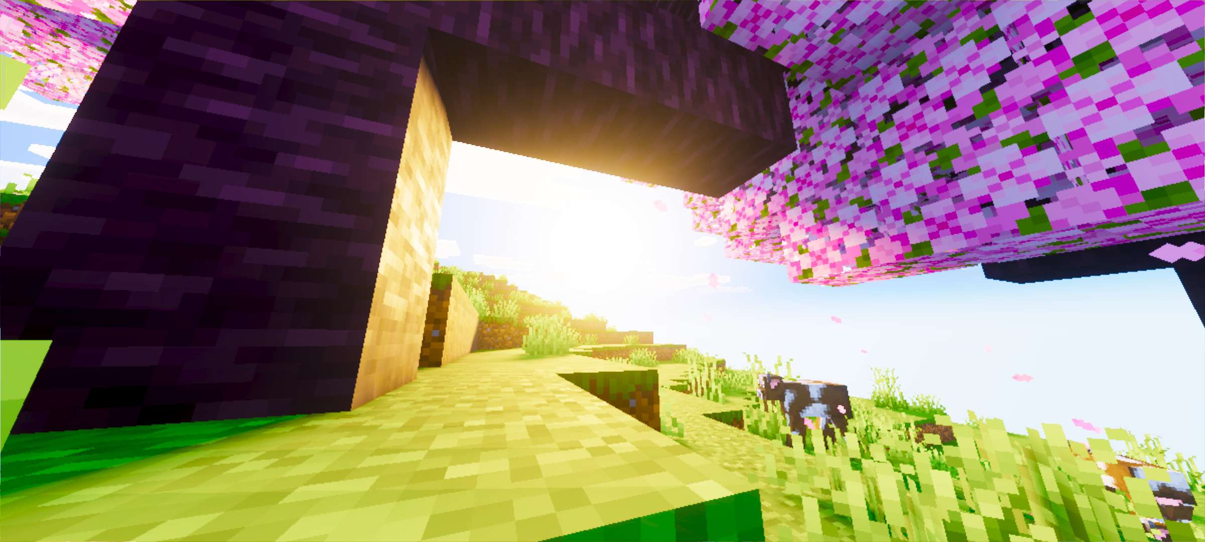 Luvid Visuals Screenshot 3