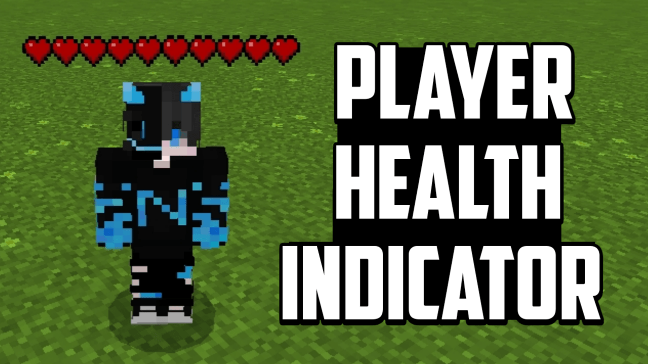 Player Health Indicator — screenshot 1