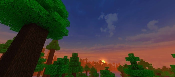 Vibrant Mode Sunset