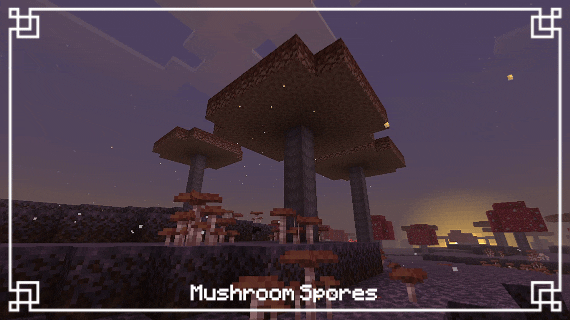 Mushroom spores