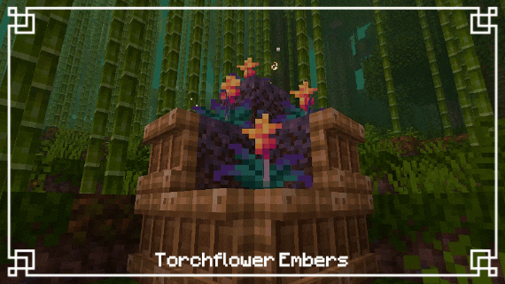 Torchflower embers