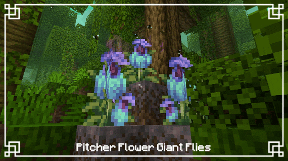 Pitcher Flower flies