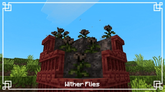 Wither Rose flies
