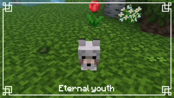 Golden dandelion effects