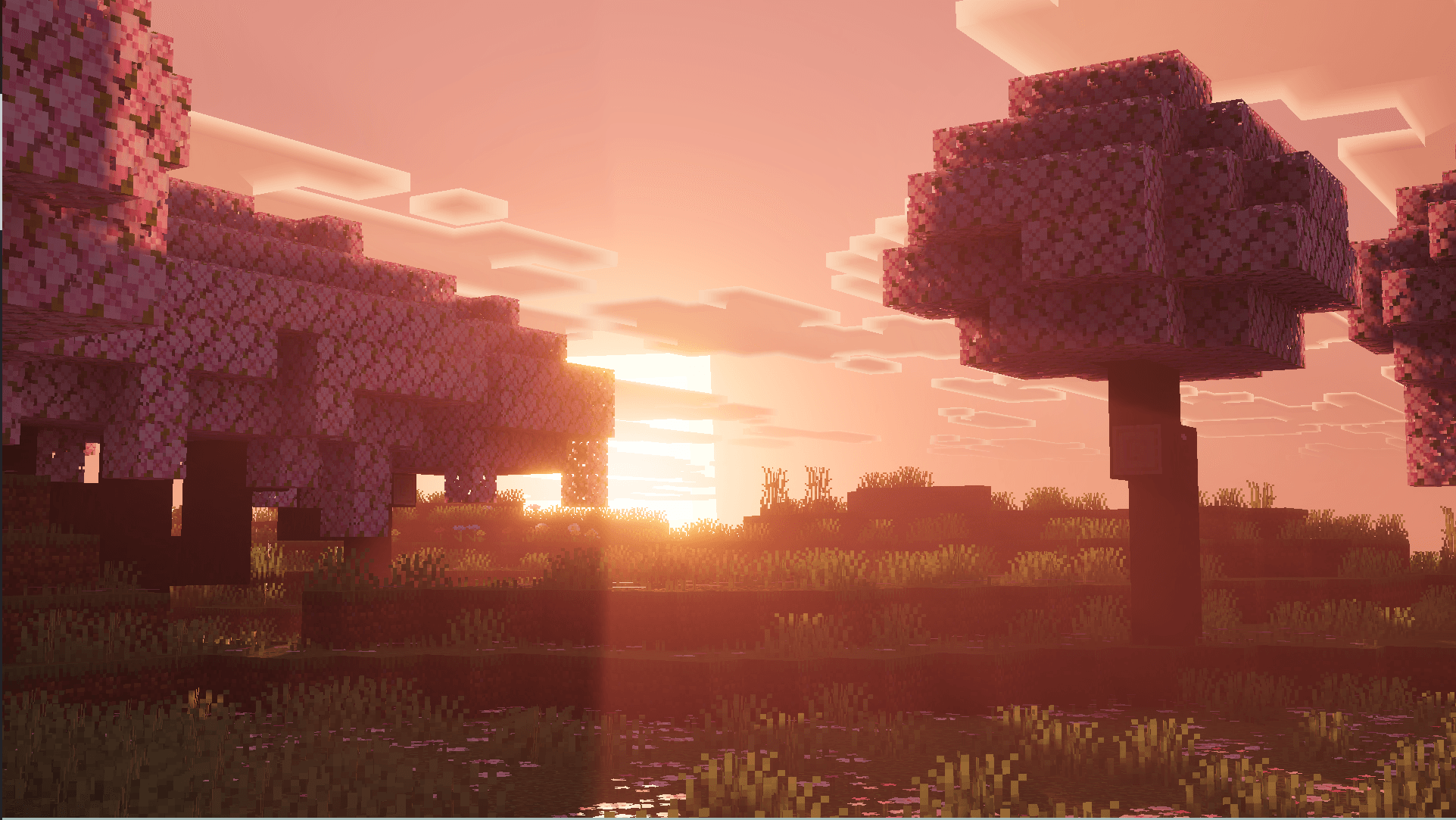 Solace V (Vibrant Visuals) — screenshot 1