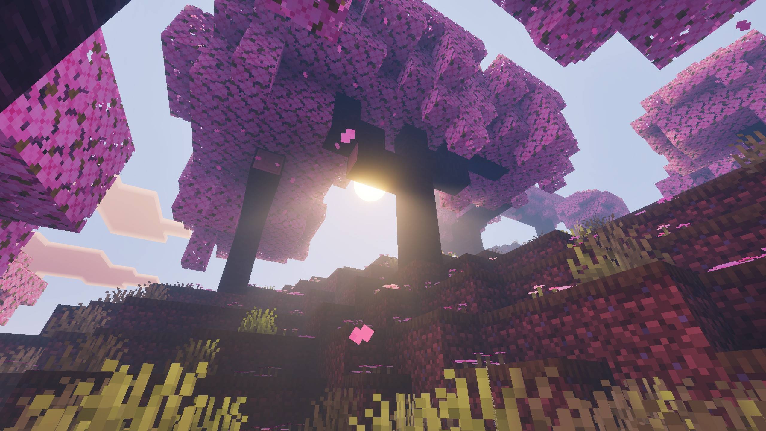Summerset Visuals — screenshot 2