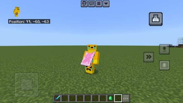 Customized Camera Perspective toggle