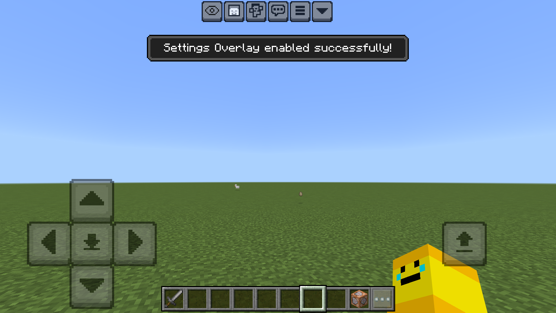 Settings Overlay enabled HUD