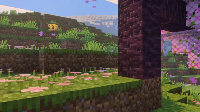 Contrast and shadows sample