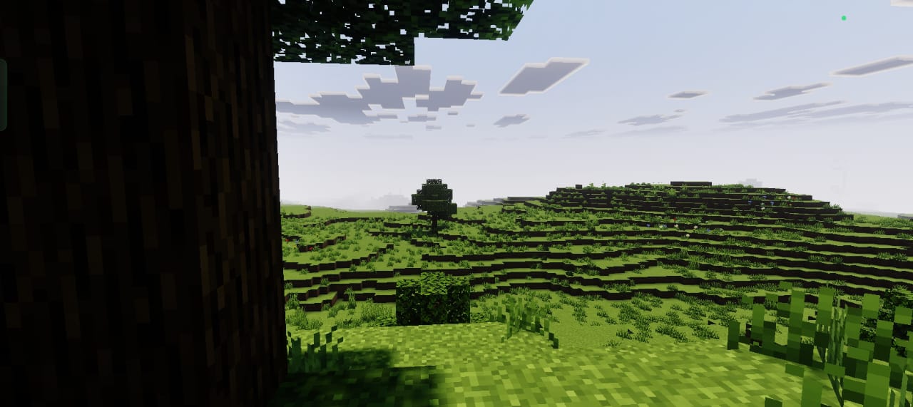 Vibrant VSL Showcase 1