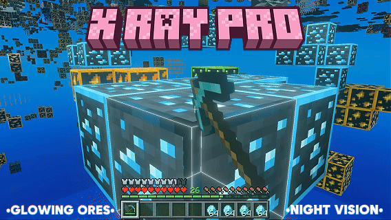 X RAY PRO — screenshot 1