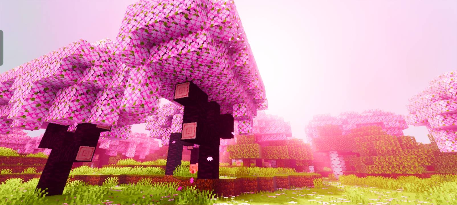 Zyra visuals — screenshot 1